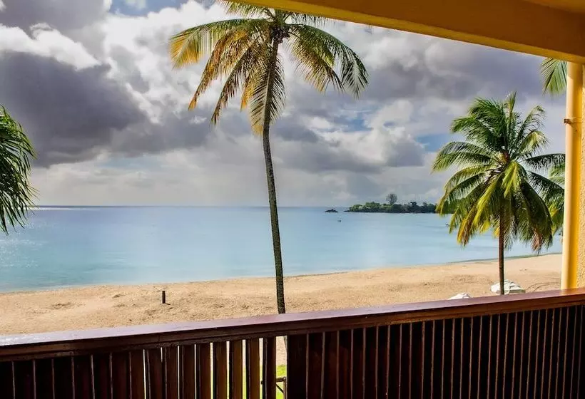 اتاق لوکس با چشم‌انداز دریا, Starfish Tobago