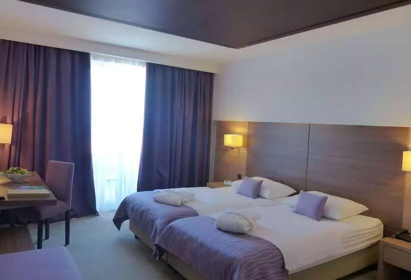 バルコニー付きスタンダードルーム, Vitality Hotel Punta