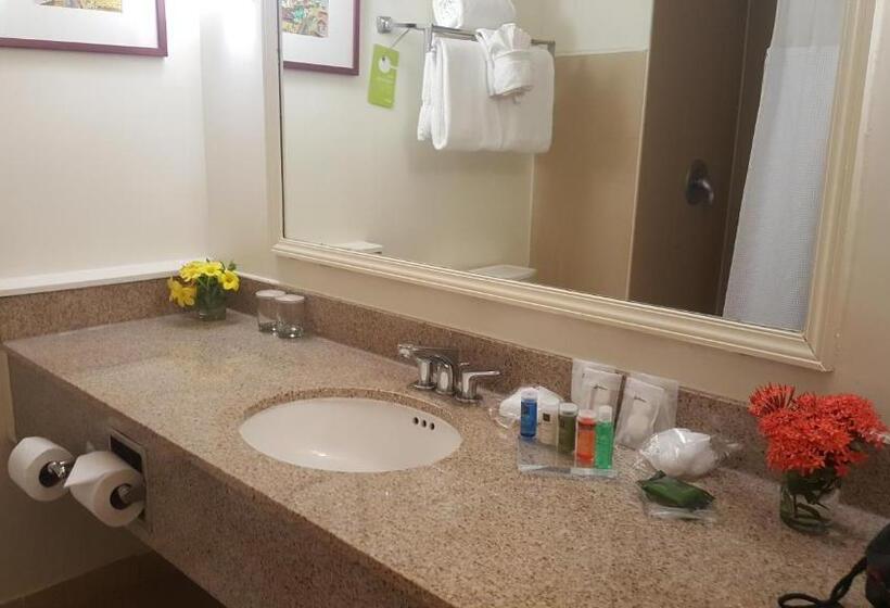 اتاق استاندارد با 2 تخت دوبل, Radisson Hotel Trinidad
