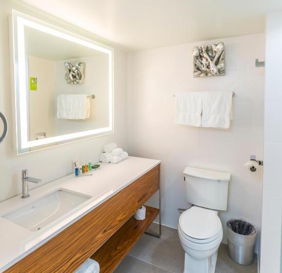 سوئیت با تخت بزرگ, Radisson Hotel Trinidad