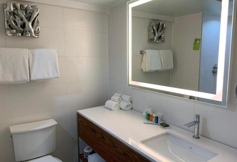 سوئیت با تخت بزرگ, Radisson Hotel Trinidad