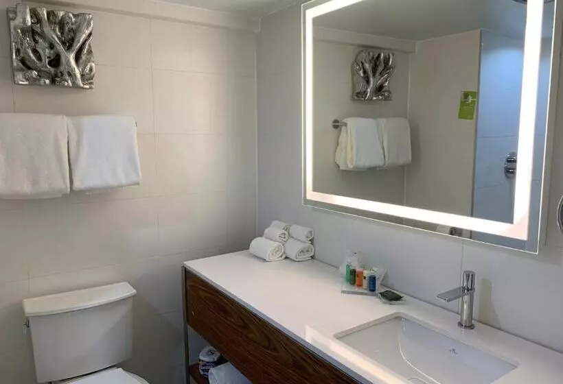 سوئیت با تخت بزرگ, Radisson Hotel Trinidad