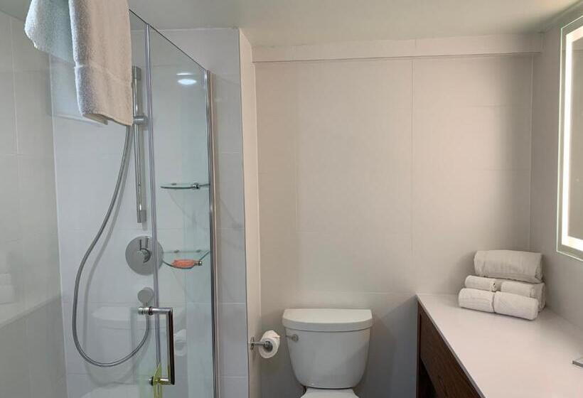 سوئیت با تخت بزرگ, Radisson Hotel Trinidad