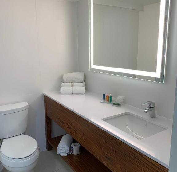 سوئیت با تخت بزرگ, Radisson Hotel Trinidad