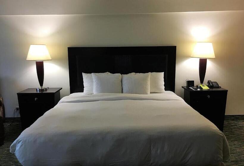 اتاق استاندارد با تخت بزرگ, Radisson Hotel Trinidad