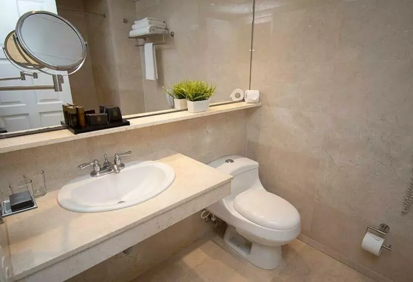 اتاق پریمیوم با چشمانداز باغ, Caribe by Faranda Grand, a member of Radisson Individuals