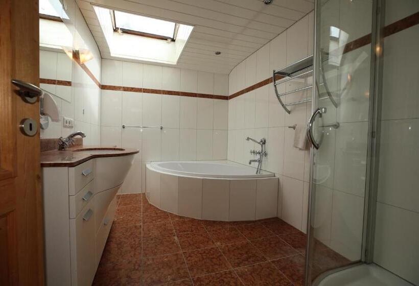 شقة غرفة واحدة ذات إطلالة, T3 Alpenhotel Garfrescha