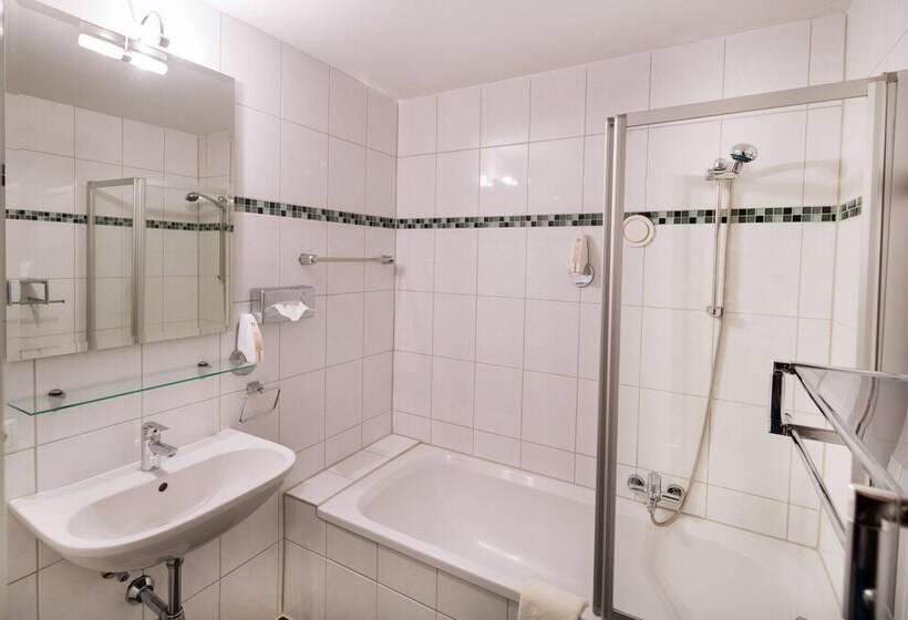 غرفة قياسية فردية, T3 Alpenhotel Garfrescha