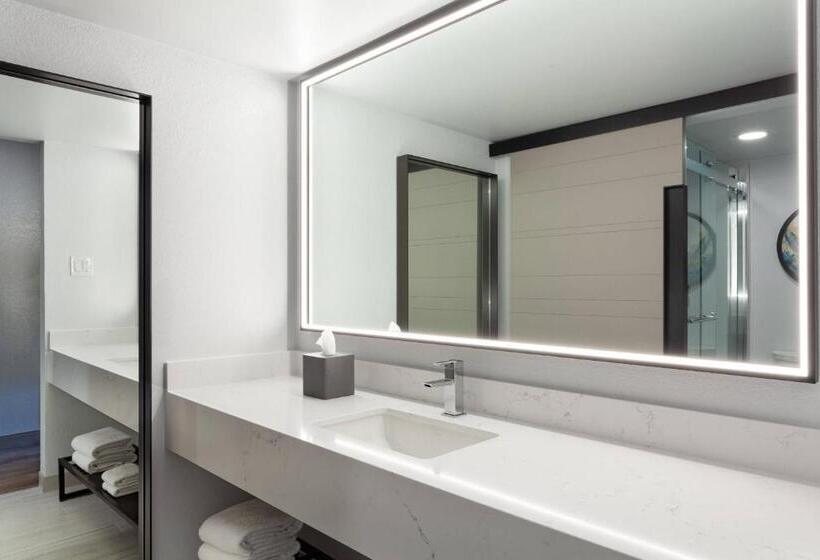 장애인을 위한 스탠다드 룸, Orlando World Center Marriott