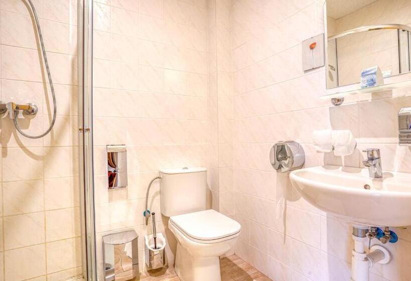 スタンダードルーム, Dynamic