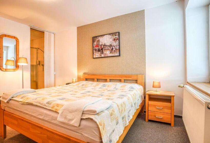 スタンダードルーム, Dynamic