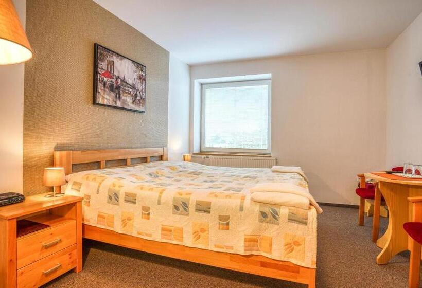 スタンダードルーム, Dynamic