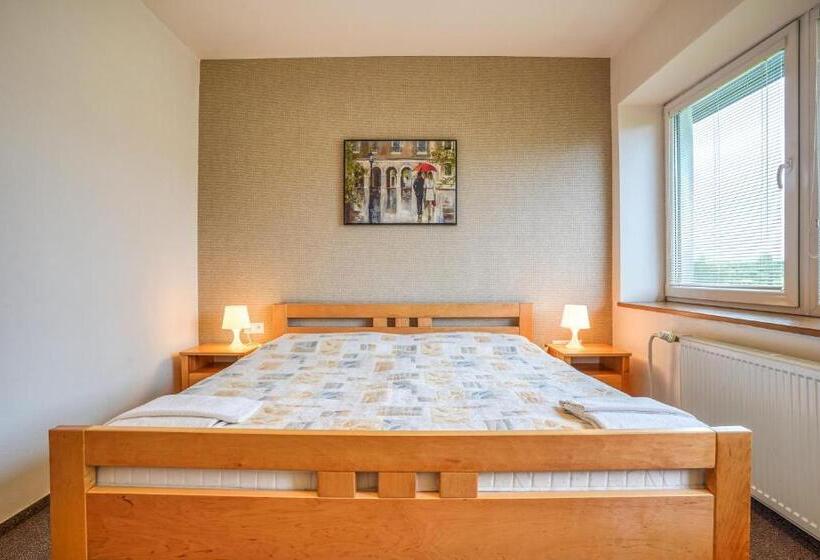 スタンダードルーム, Dynamic