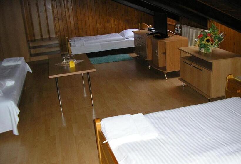 スタンダードトリプルルーム, Dynamic