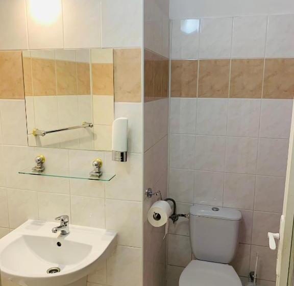 اتاق استاندارد سه نفره, Slovan