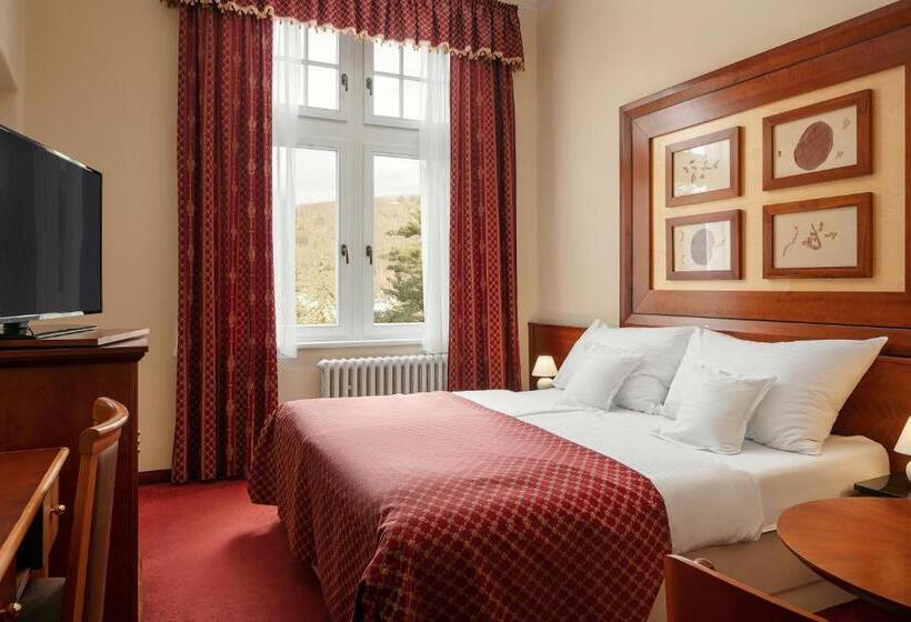 스탠다드 룸, Spa Hotel Villa Smetana