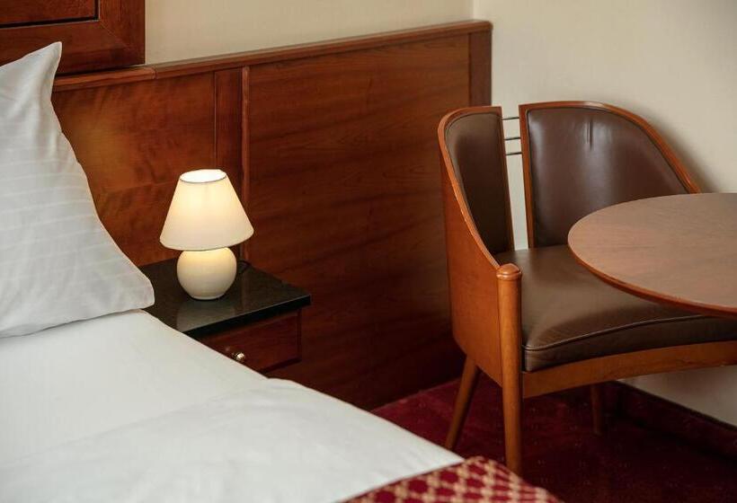 스탠다드 룸, Spa Hotel Villa Smetana