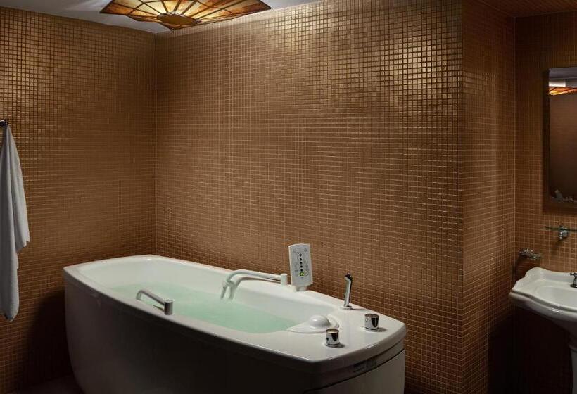 标准单人间, Spa Hotel Villa Smetana