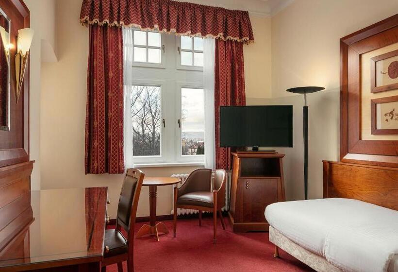 스탠다드 싱글 룸, Spa Hotel Villa Smetana