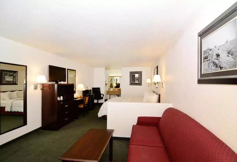 سوئیت با تخت بزرگ, Best Western Colorado River Inn