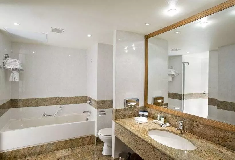 デラックスルーム, Hilton Paris Charles De Gaulle Airport