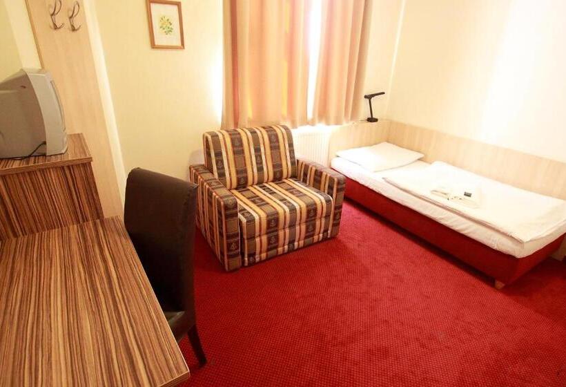 اتاق استاندارد یک نفره, U Divadla