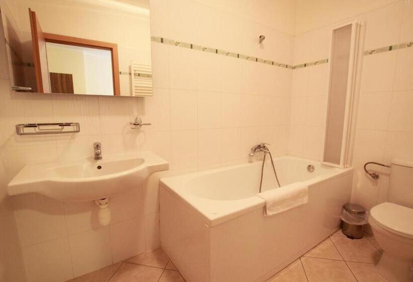 اتاق استاندارد یک نفره, U Divadla