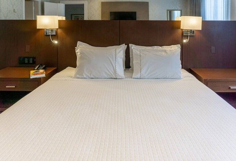 高级大房间, Grand Mercure Curitiba Rayon