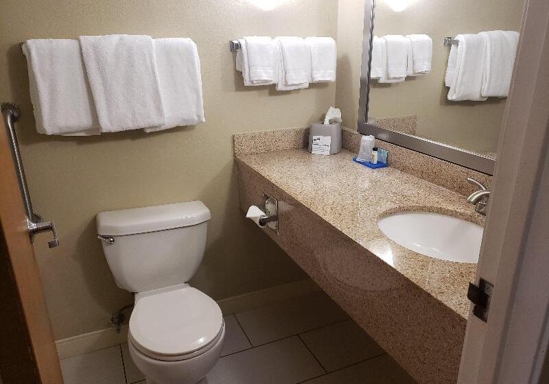 キングサイズベッドのスイートルーム, Radisson Hotel Vancouver Airport