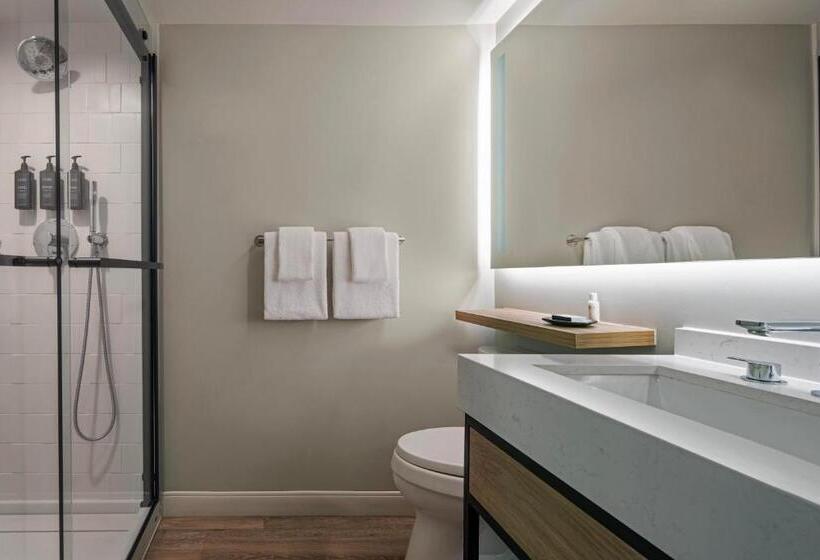 스탠다드 룸 킹사이즈 침대, Sheraton Birmingham