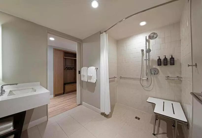 身障者適用キングサイズベッドルーム, Sheraton Birmingham