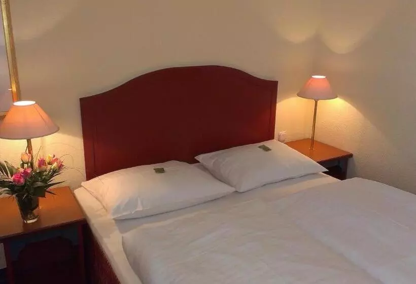 اتاق عادی, Akzent Hotel Am Goldenen Strauss