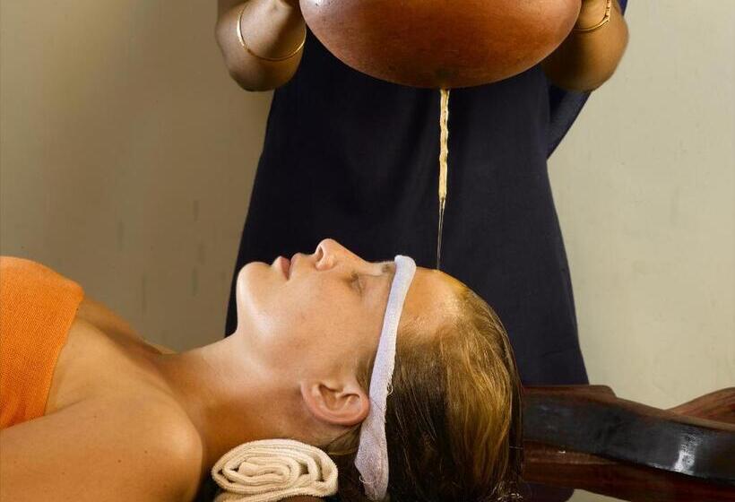 اتاق استاندارد با چشمانداز دریا, Soma Palmshore