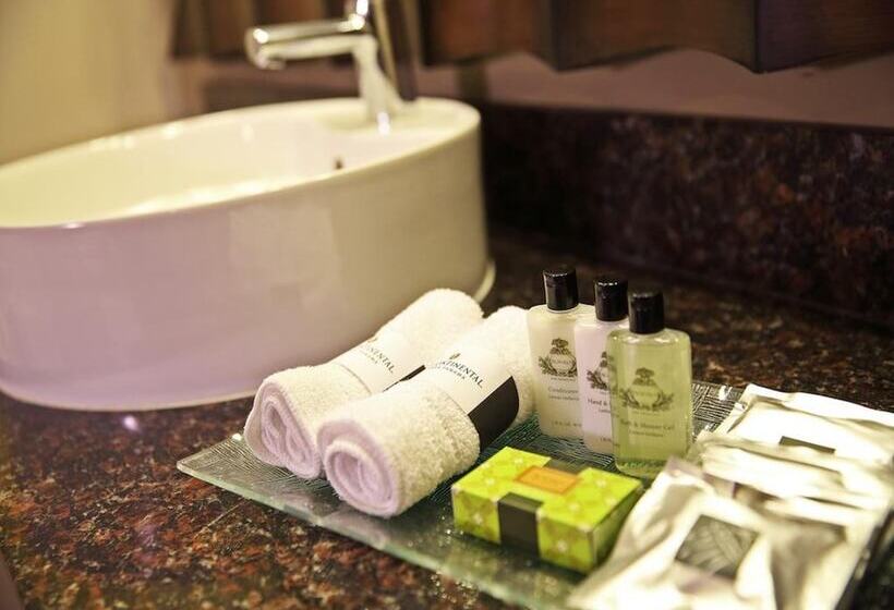 클래식 룸 더블침대 바다 전망, Intercontinental Miramar Panama, An Ihg