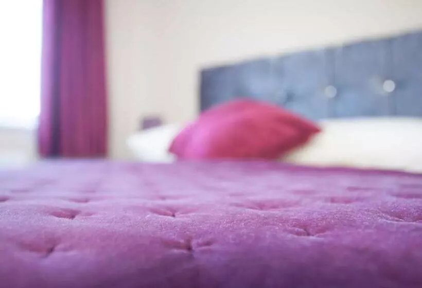 Economy-huone, The First Hurdle Guest House