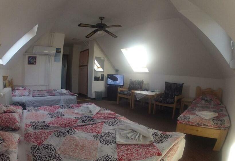 四人标准间, Olympos Panzió