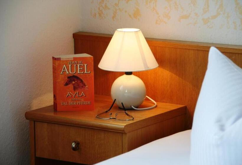 スタンダードシングルルーム, Berghotel Steiger   Erzgebirge