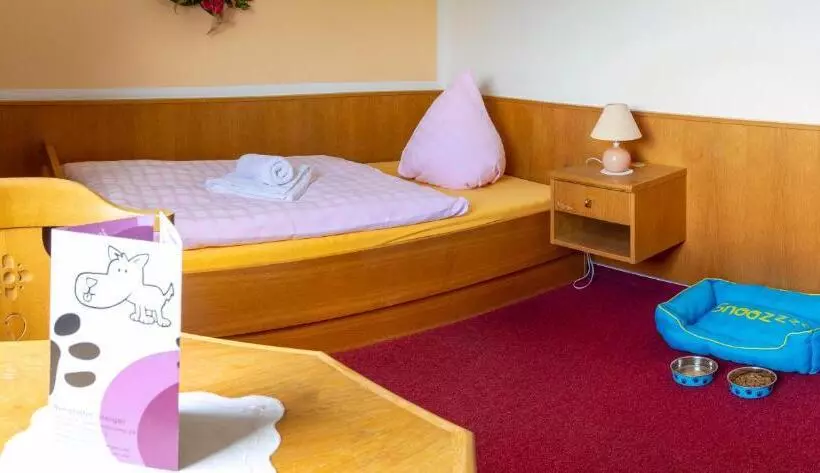 スタンダードシングルルーム, Berghotel Steiger   Erzgebirge