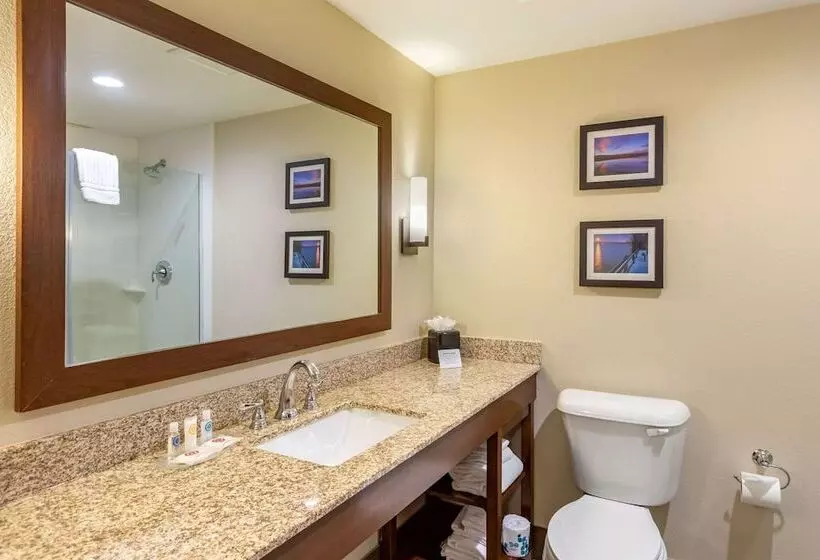 スイート, Comfort Suites Near Denver Downtown