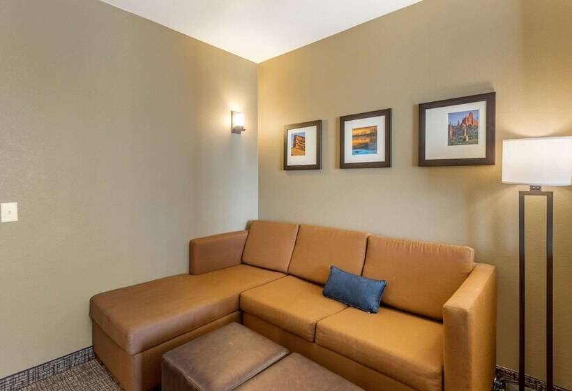 スイート, Comfort Suites Near Denver Downtown