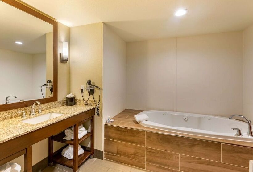 ハイドロマッサージバス付きスイート, Comfort Suites Near Denver Downtown