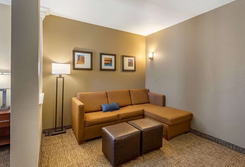 סוויטה עם ג'קוזי, Comfort Suites Near Denver Downtown