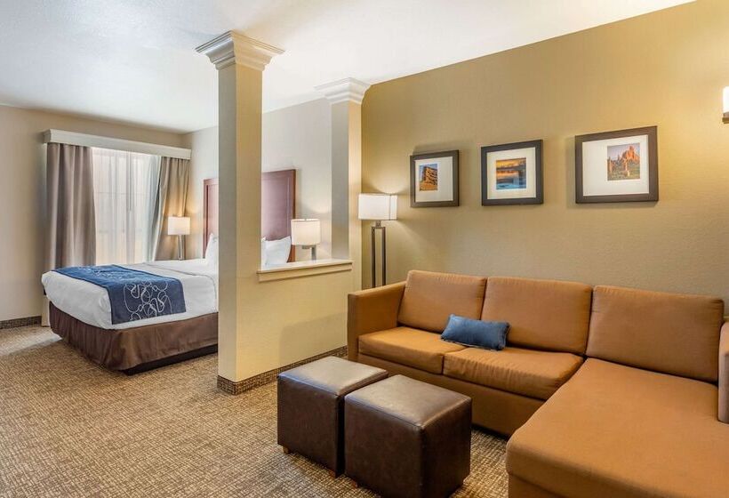 ハイドロマッサージバス付きスイート, Comfort Suites Near Denver Downtown