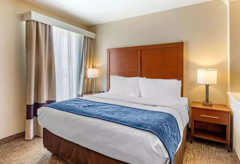 ハイドロマッサージバス付きスイート, Comfort Suites Near Denver Downtown