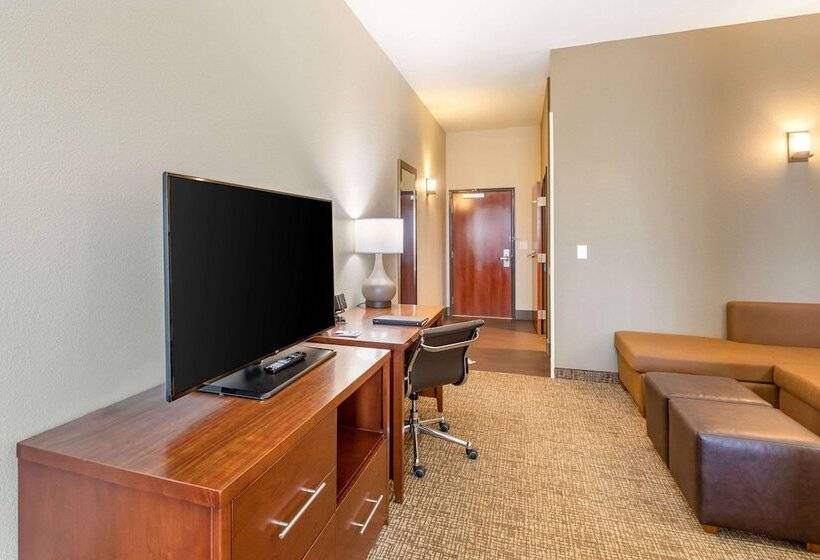 身障者適用スイートルーム, Comfort Suites Near Denver Downtown