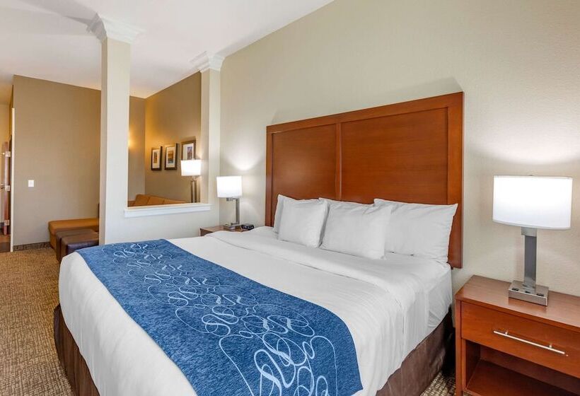 身障者適用スイートルーム, Comfort Suites Near Denver Downtown