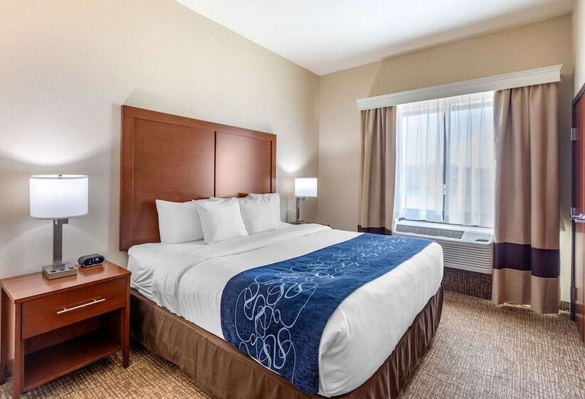 身障者適用スイートルーム, Comfort Suites Near Denver Downtown