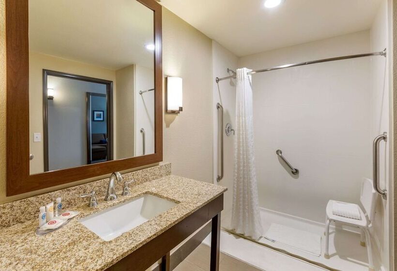 סוויטה מותאמת לאדם עם מוגבלויות, Comfort Suites Near Denver Downtown