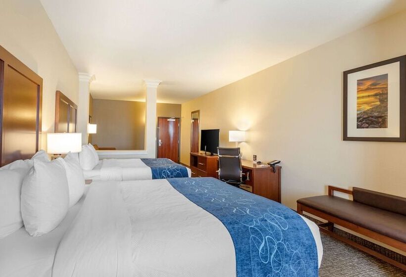 סוויטה מותאמת לאדם עם מוגבלויות, Comfort Suites Near Denver Downtown