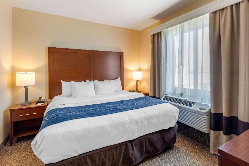 סוויטה, Comfort Suites Near Denver Downtown